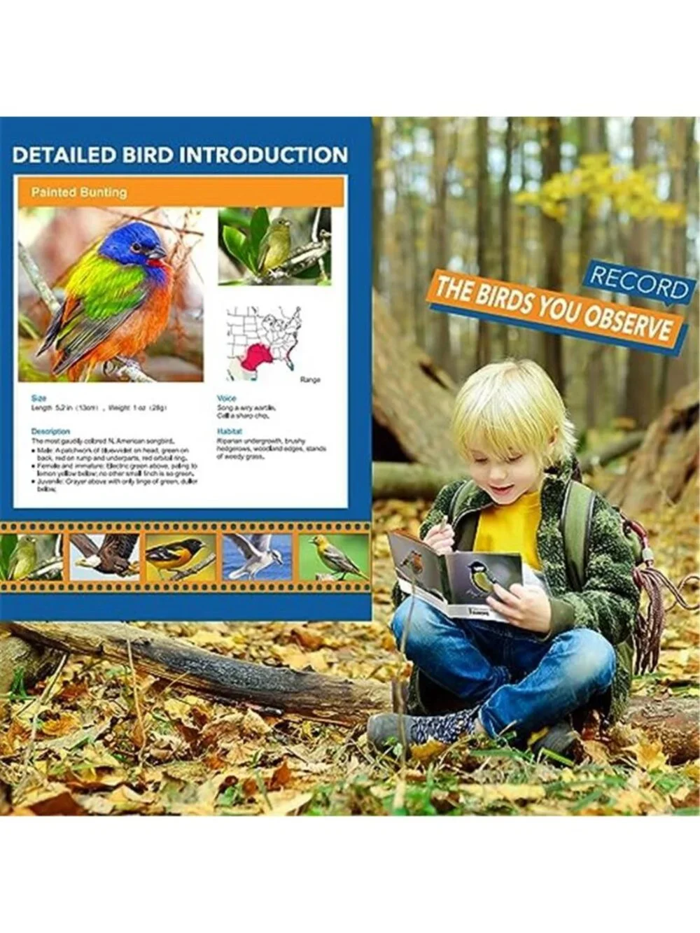 Shockproof Binoculars for Kids Bird Watching